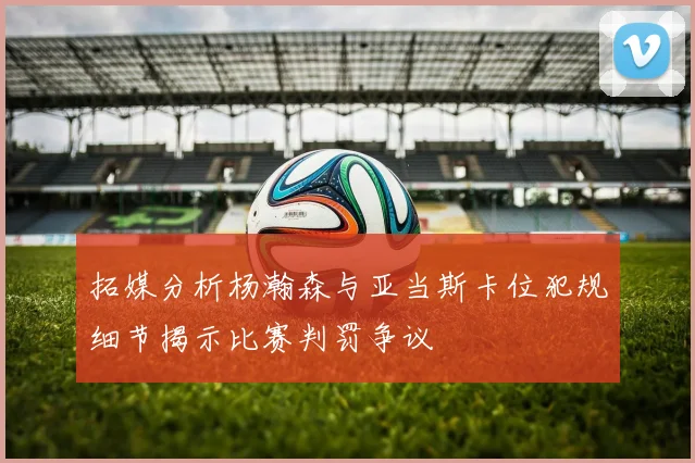 拓媒分析杨瀚森与亚当斯卡位犯规细节揭示比赛判罚争议