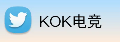 KOK电竞 logo
